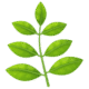 herb 1f33f (1)